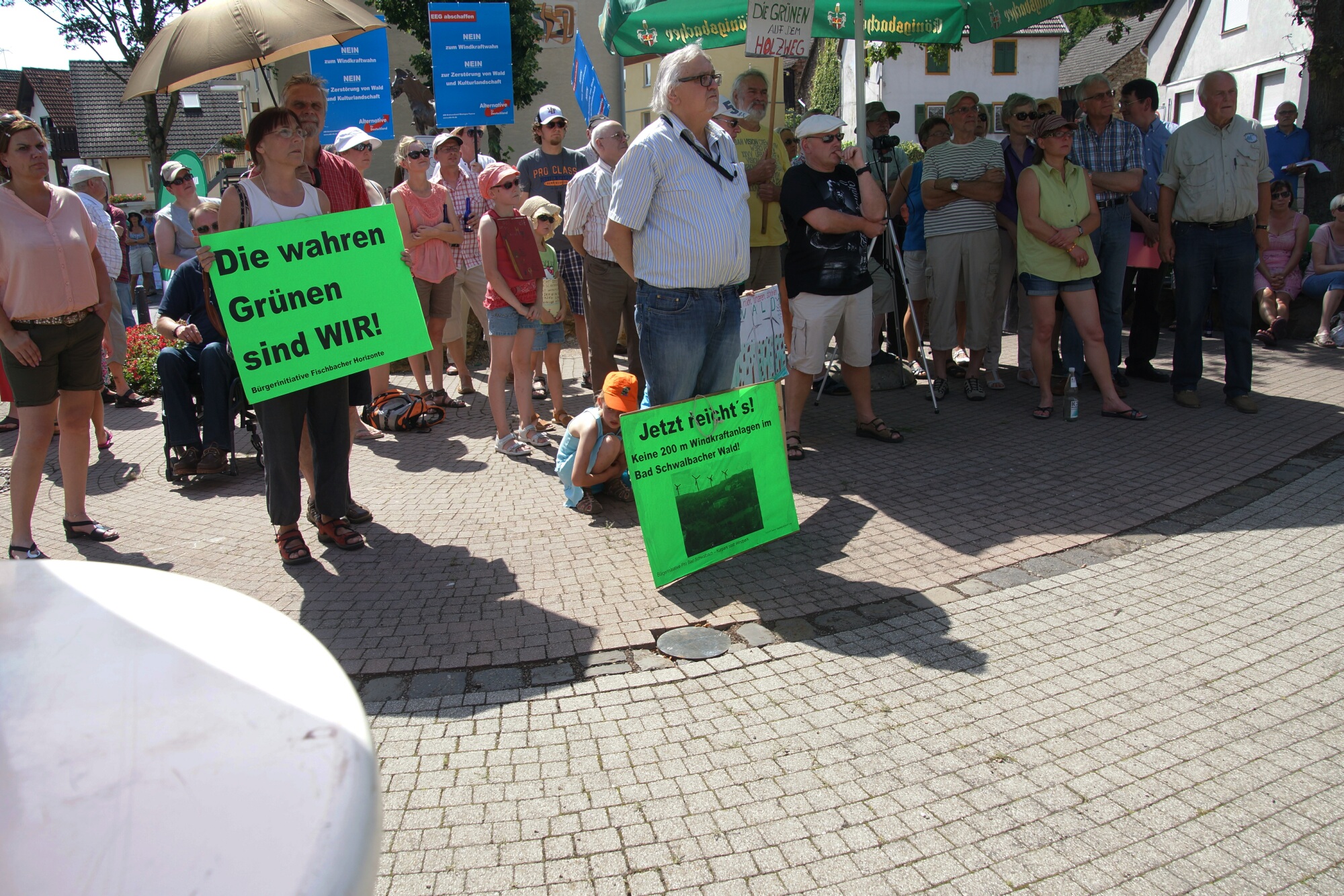 Stephanshausen DEMO Windwahn-20140719DSC08228.jpg